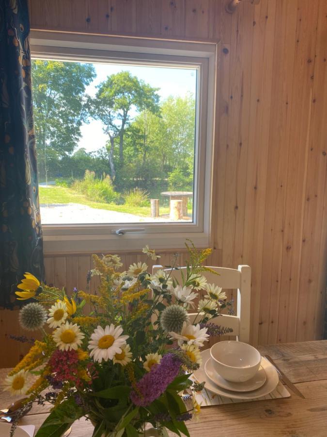 Kingfisher Cabin - Wild Escapes Wrenbury Off Grid Glamping - Ages 12 And Over Baddiley 外观 照片