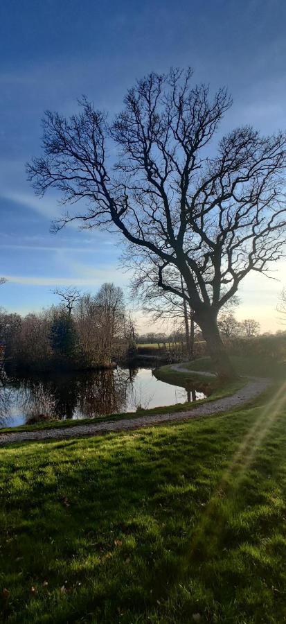 Kingfisher Cabin - Wild Escapes Wrenbury Off Grid Glamping - Ages 12 And Over Baddiley 外观 照片